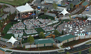 Marketing and Events